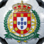 葡萄牙国家队队徽
